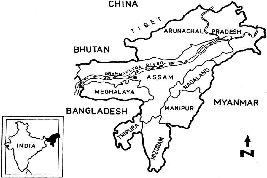 पूर्वोत्तर समन्वित सुरक्षा की आवश्यकता