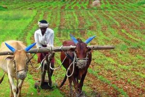 खेती पर बल, केंद्र में किसान