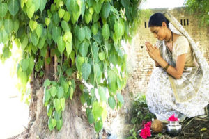 वृक्ष तपश्चर्या