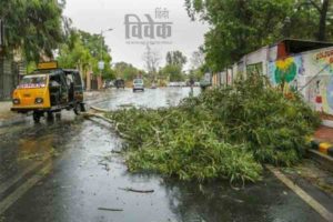 द ग्रेट ग्रेटा