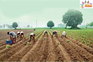 ग्रामीण भारत को वास्तविक भारत में बदलने की जरूरत