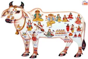 Read more about the article गौ माता