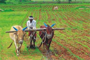  किसानों के भविष्य की चिंता करती सरकार 