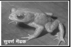 प्रदूषण के कारण नष्ट हो रहीं जैविक प्रजातियां