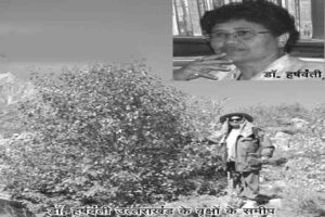पर्वतारोही द्वारा भोजवृक्षों को जीवनदान