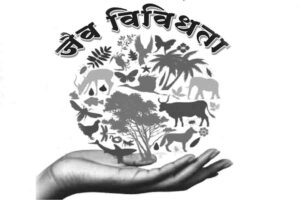 जैव विविधता