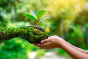 Read more about the article पर्यावरण संरक्षण से बचेगा मानव जीवन