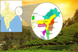 Read more about the article पूर्वोत्तर भारत को विकसित करने की चुनौती