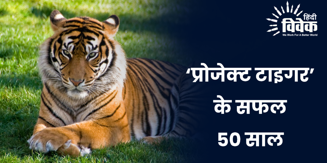 ‘प्रोजेक्ट टाइगर’ के सफल 50 साल