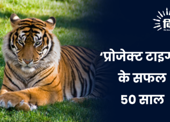 ‘प्रोजेक्ट टाइगर’ के सफल 50 साल