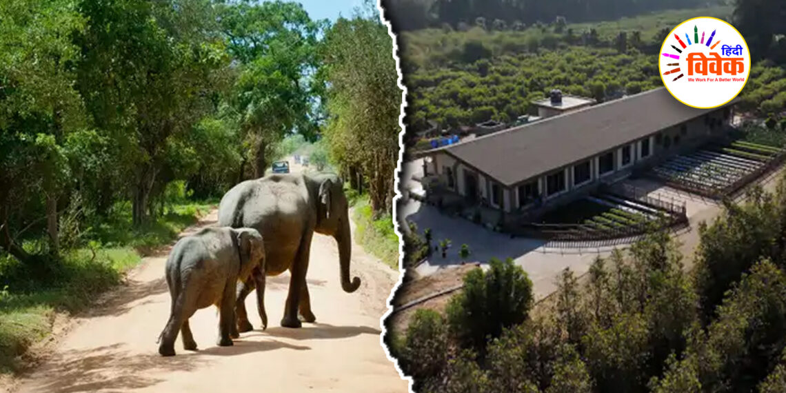 ‘वनतारा’ : बंजर भूमि बनी वन्यजीवों की शरणस्थली