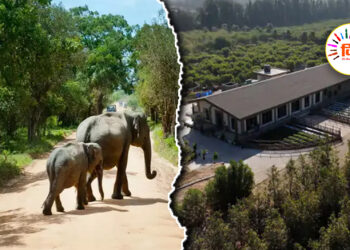 ‘वनतारा’ : बंजर भूमि बनी वन्यजीवों की शरणस्थली