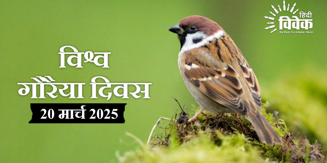 आंखों से ओझल होती गौरैया