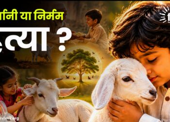 कुर्बानी या निर्मम हत्या ?