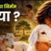कुर्बानी या निर्मम हत्या ?