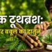 वैदिक टूथब्रश: नीम और बबूल का दातुन