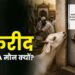 बकरीद पर PETA मौन क्यों?
