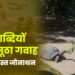 दो शताब्दियों का अनूठा गवाह: हमारा दोस्त जोनाथन