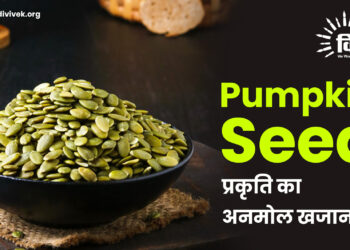 Pumpkin Seed: प्रकृति का अनमोल खजाना