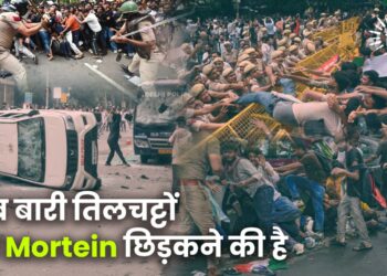 अब बारी तिलचट्टों पर Mortein छिड़कने की है