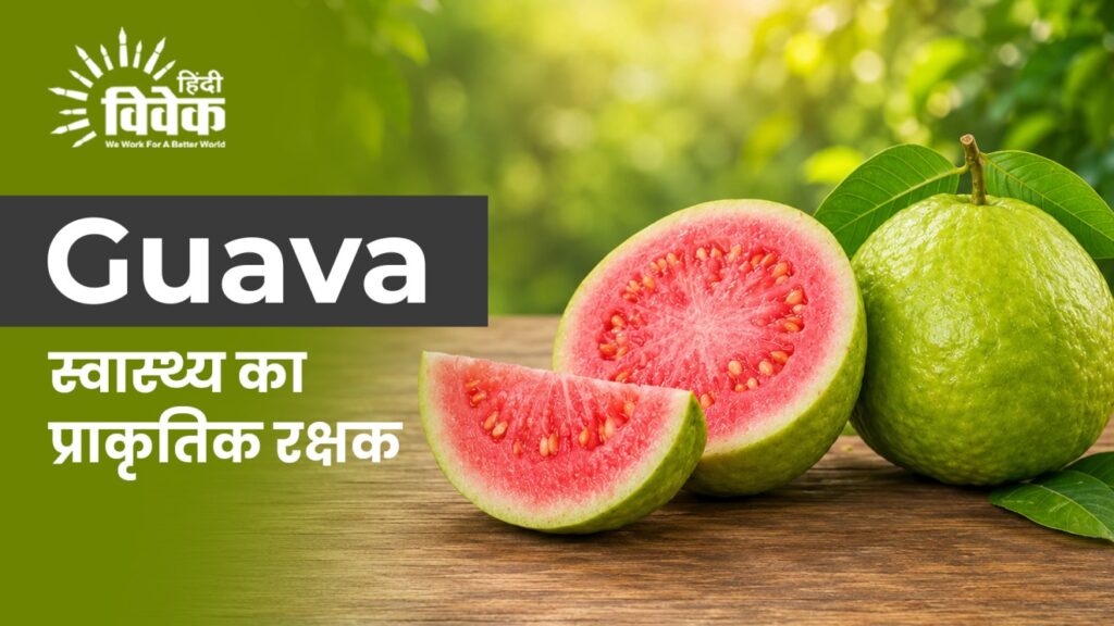 Guava : पोषण का खजाना, स्वास्थ्य का प्राकृतिक रक्षक