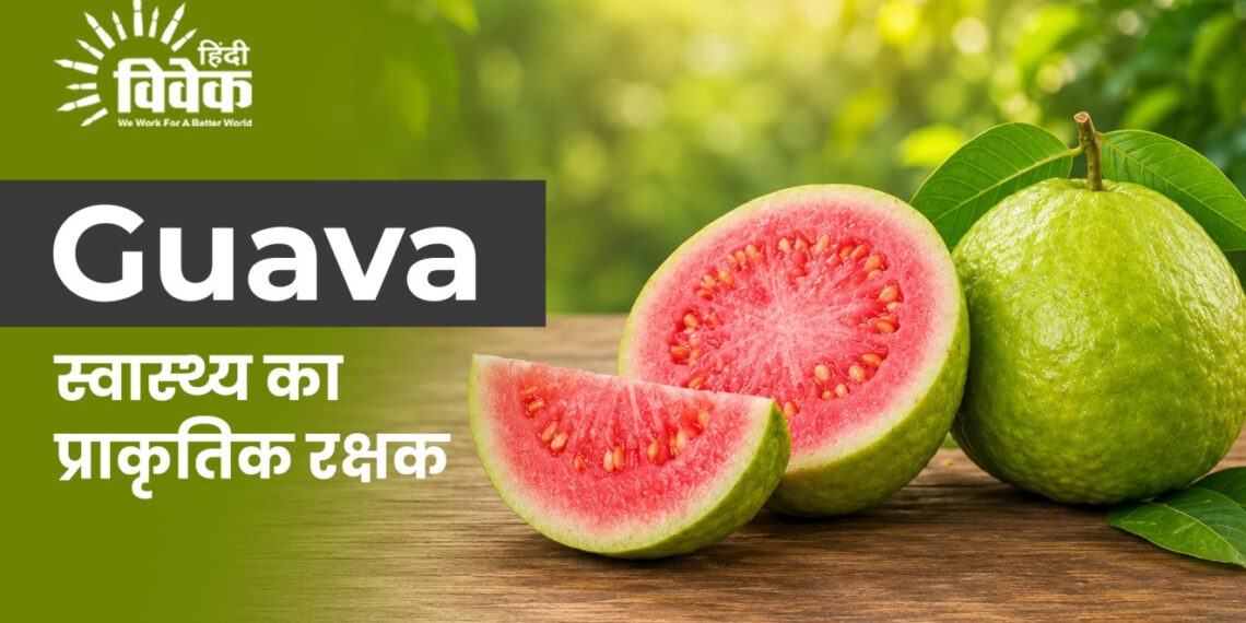 Guava : पोषण का खजाना, स्वास्थ्य का प्राकृतिक रक्षक