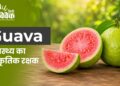 Guava : पोषण का खजाना, स्वास्थ्य का प्राकृतिक रक्षक