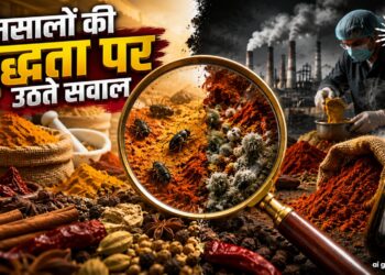 मसालों की शुद्धता पर उठते सवाल