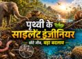 पृथ्वी के साइलेंट इंजीनियर