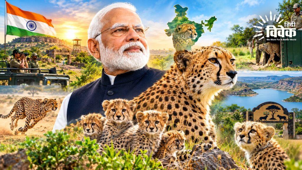 मोदी के संकल्प की चीता परियोजना के 4 साल